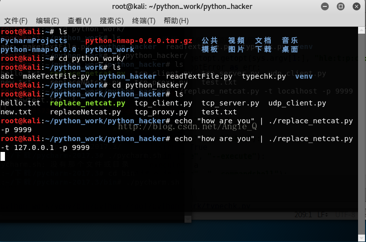 Python黑帽子取代netcat的示例分析