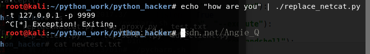 Python黑帽子取代netcat的示例分析