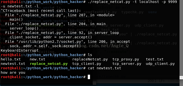 Python黑帽子取代netcat的示例分析