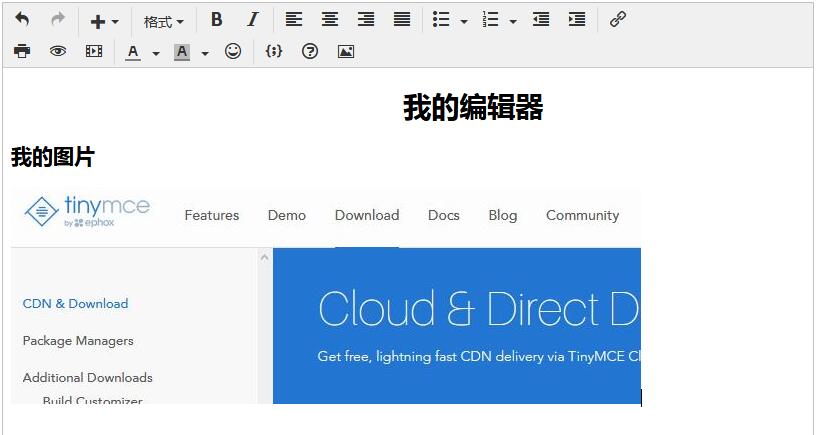 JS中富文本编辑器TinyMCE的示例分析