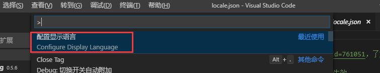 如何安装使用vsCode