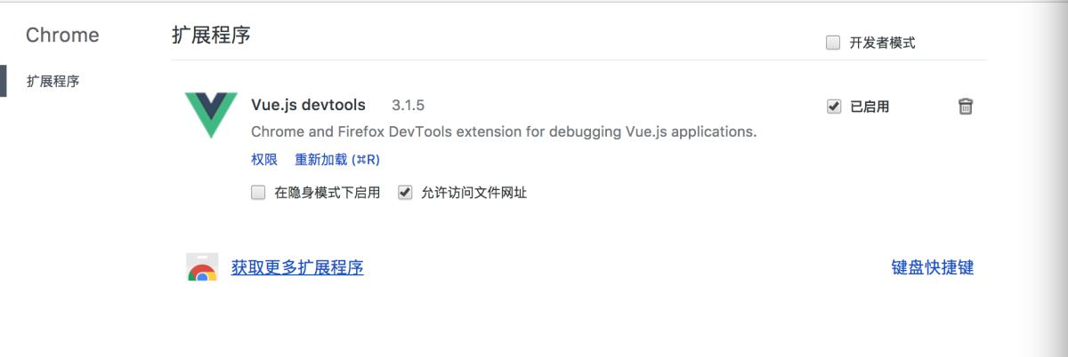 如何在vue中安装devtools调试工具