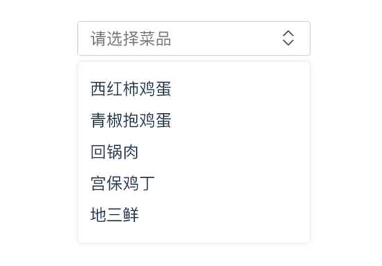 怎么在Vue中通过自定义指令实现一个Select组件