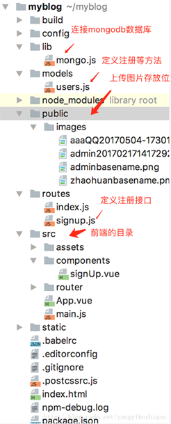 node+vue如何实现用户注册和头像上传