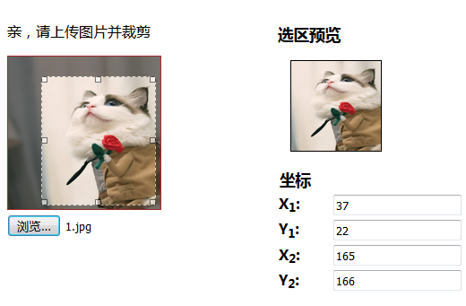 jQuery插件ImgAreaSelect如何实现头像上传预览和裁剪功能