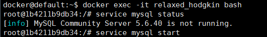 docker中使用mysql数据库实现局域网访问