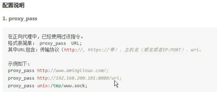 nginx正向代理与反向代理的示例分析