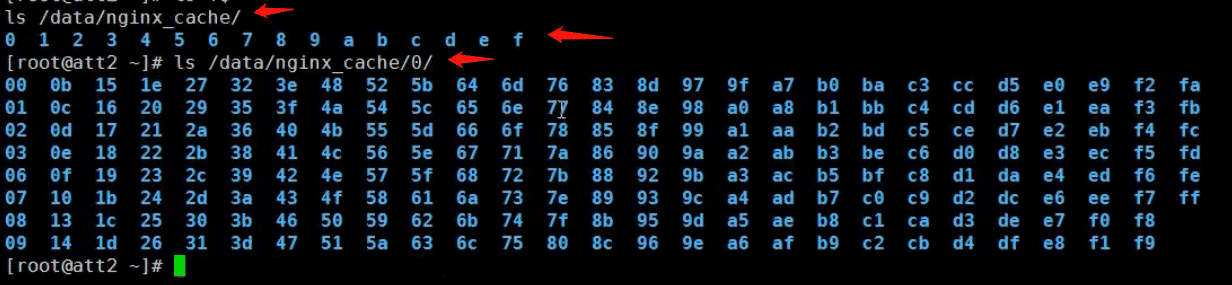 nginx正向代理与反向代理的示例分析