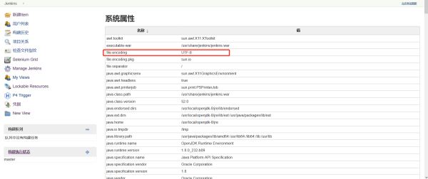 Docker环境搭建Jenkins在构建任务时控制台日志出现中文乱码怎么办