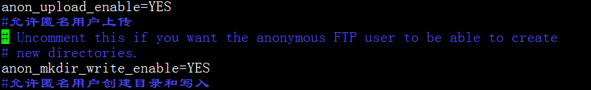 如何解决linux ftp匿名上传、下载开机自启问题