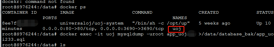 怎么在docker中使用mysqldump命令备份mysql数据