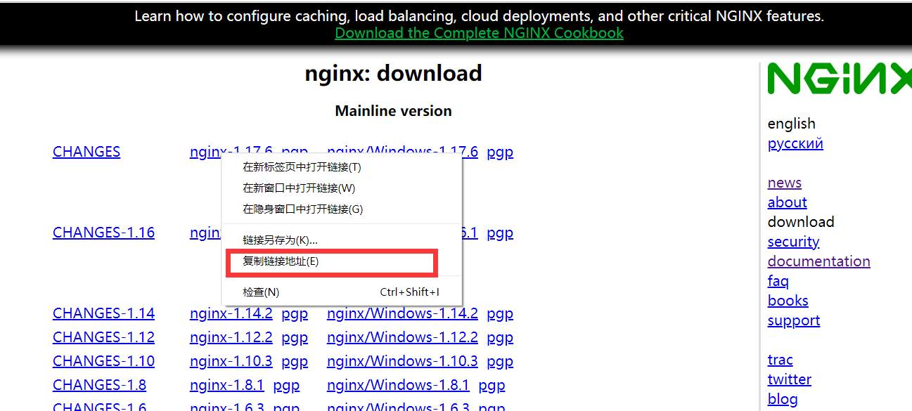 centos8如何安装nginx