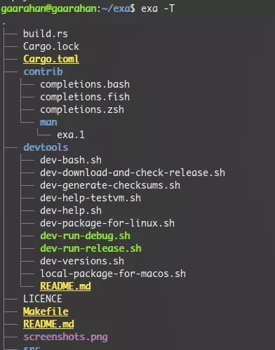 怎么在linux中使用exa命令