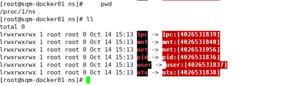 Docker底层技术之Namespaces和Control groups的示例分析