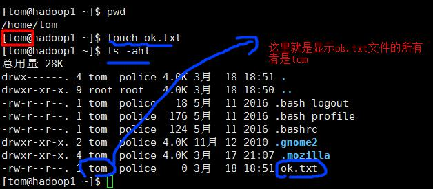 Linux组基本介绍知识点总结