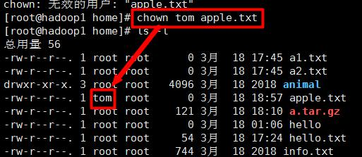 Linux组基本介绍知识点总结