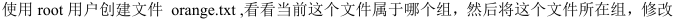 Linux组基本介绍知识点总结