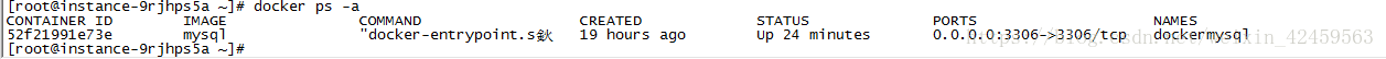 docker部署mysql 实现远程连接的示例代码
