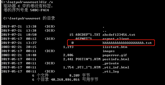 IIS短文件名漏洞的示例分析