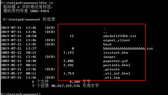 IIS短文件名漏洞的示例分析