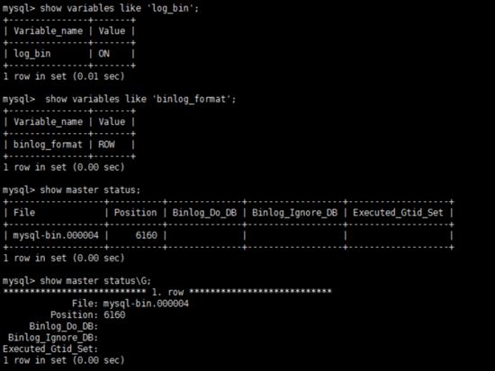 基于Docker结合Canal如何实现MySQL实时增量数据传输功能