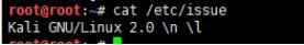 kali linux中系统版本如何查看