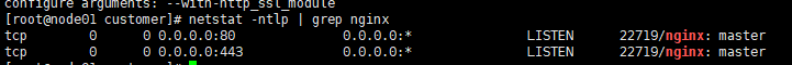 如何在linux環(huán)境中安裝Nginx1.16.0