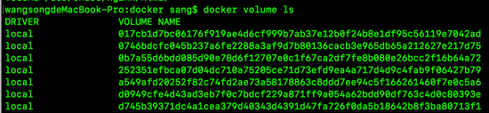 Docker 数据卷操作的实现