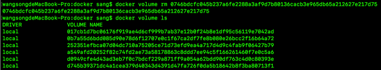 Docker 数据卷操作的实现