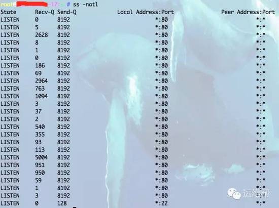 Nginx开启一个参数就能让你的WEB性能提升3倍的方法