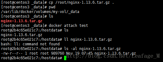 如何利用Volume在主機和Docker容器文件傳輸