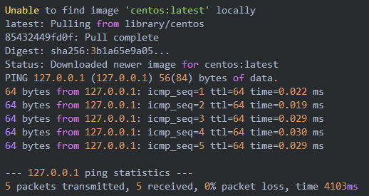 Docker教程:使用容器(简单示例)