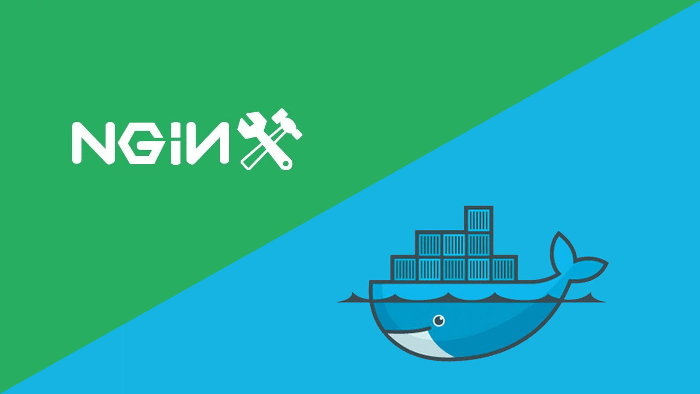 docker中nginx日志的示例分析