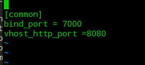 怎么在nginx中保证frps服务器与web共用80端口