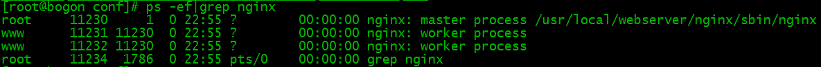 Linux服務器下安裝配置Nginx的教程