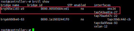 怎么在openstack中使用linux_bridge实现一个vxlan网络