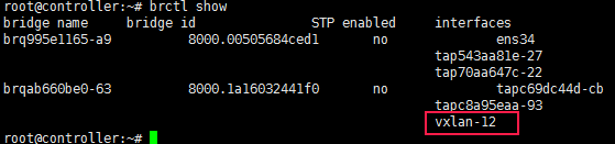 怎么在openstack中使用linux_bridge实现一个vxlan网络