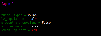 openstack如何使用openvswitch实现vxlan