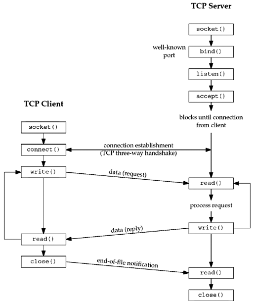 Linux Socket 编程简介和实现