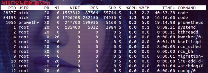 linux top命令詳解