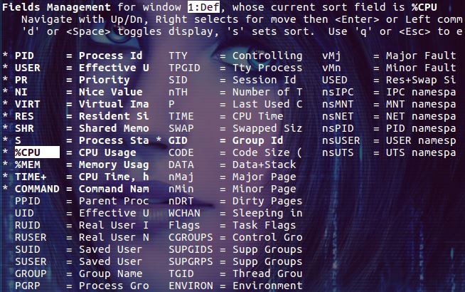 linux top命令詳解