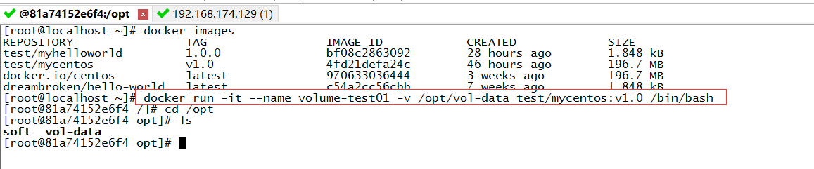 docker数据卷volume的示例分析