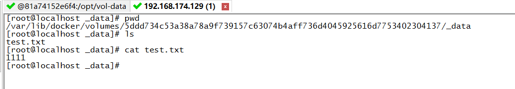 docker数据卷volume的示例分析