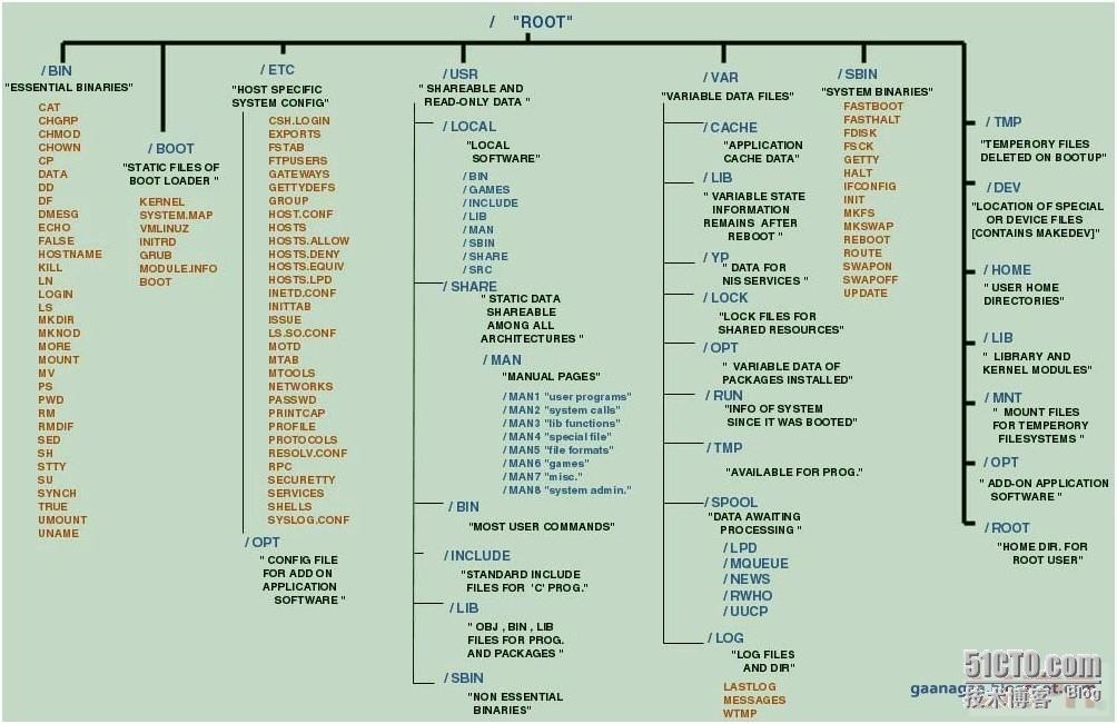 Linux文件目录结构(小白版)