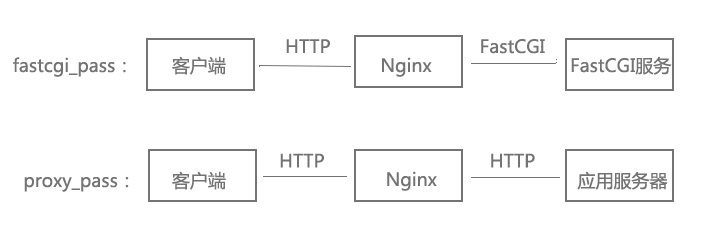 简单谈谈Nginx基础知识入门