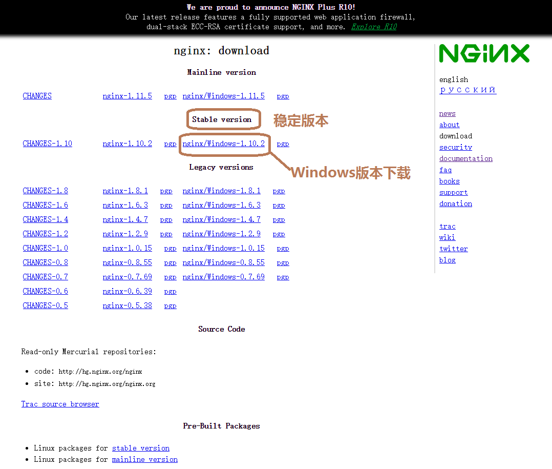 Windows Server 2016 Nginx 安装配置详细图文教程