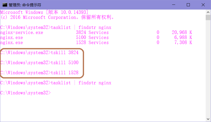 Windows Server 2016 Nginx 安装配置详细图文教程