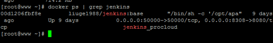 详解Docker下搭建Jenkins构建环境
