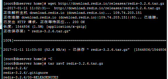 如何在Linux系统中安装与使用redis