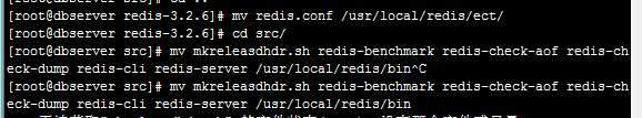 如何在Linux系统中安装与使用redis